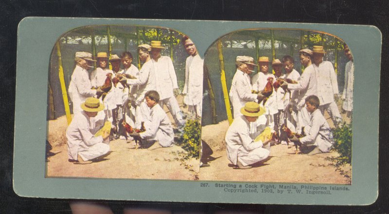 MANILA PHILIPPINES P.I. STARTING A COCFIGHT VINTAGE STEREOVIEW CARD