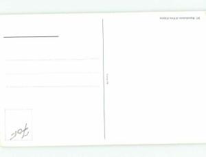 c1910 Risque NUDE ITALIAN GIRL POSING AT STUDIO IN ITALY AB7263