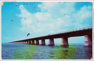 Seven Mile Bridge, Key West FL