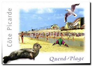 Postcard Modern Quend Beach Sum Pins Picardy Coast the Seal Beach Seagull Kite