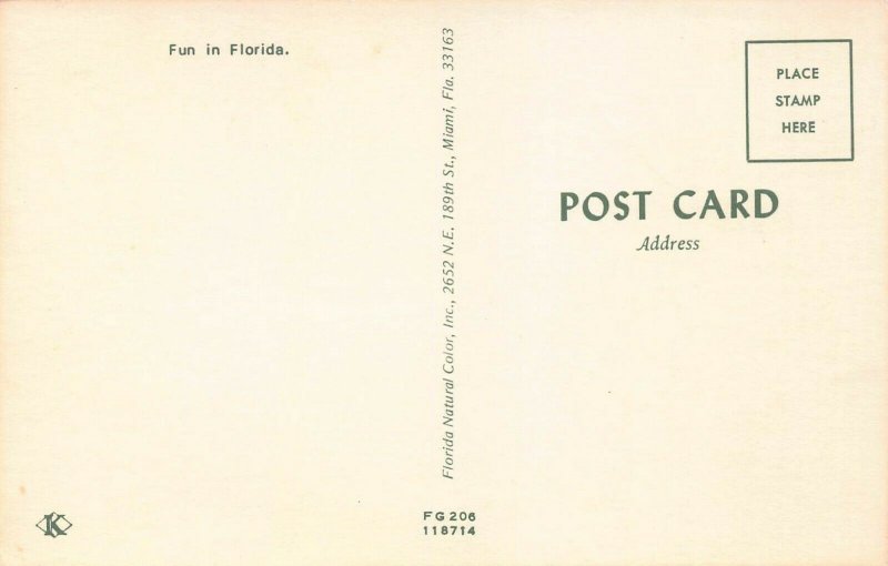 FLORIDA ALLIGATORS RATHER BITE THAN SWITCH~BIKINI BATHING BEAUTY POSTCARD