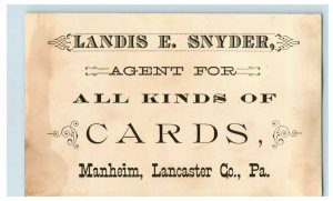 Victorian Trade Card Landis E Snyder All Kinds of Cards, Roses Flowers Glass D1 