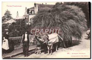 Old Postcard Folklore hitch Bearnais Oxen TOP Pyrenees