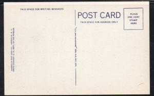 Great Smoky Mountains Nat Park Yellow Creek Knob & Lake colour PC  unused