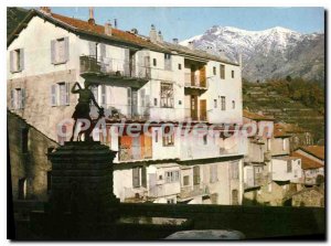 Postcard Modern Appearance Vivario Du Village