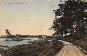 J49/ Bellefontaine Ohio Postcard c1910 Silver Lake Amusement Park Slide 77