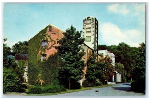 Lynchburg Tennessee TN Postcard Jack Daniel's Hollow Distillery c1950's Vintage