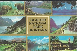 8 Views of Glacier National Park, Montana Postcard