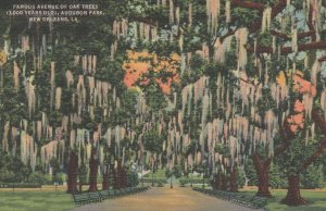 Famous Avenue Of Oak Trees New Orleans USA WW2 Postcard