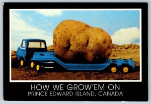 Exaggerated Potato On Float Trailer, Prince Edward Island, Chrome Postcard