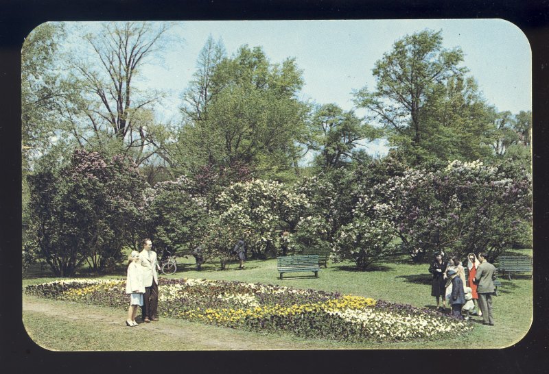 Rochester, New York/NY Postcard, Lilac Time Festival In Beautiful Highland Park