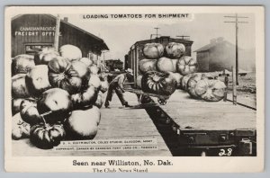 Williston ND-Glasgow MT Ship Exaggerated Tomatoes by Canadian Pacific Train~RPPC