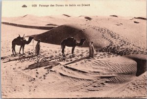 Algeria Passage des Dunes de Sable au Desert Vintage Postcard C190