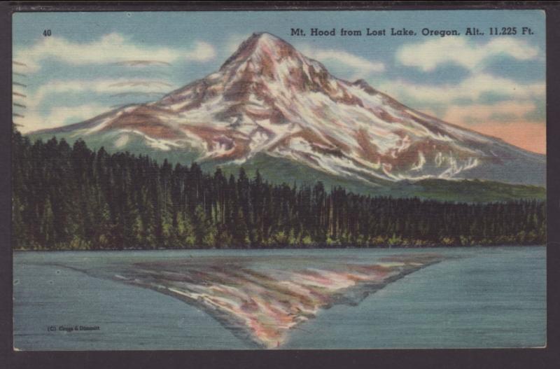 Mt Hood From Lost Lake,OR Postcard