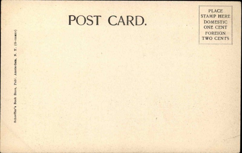 Amsterdam New York NY High School c1910 Vintage Postcard