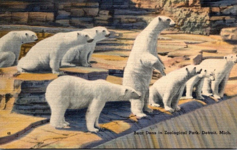 Michigan Detroit Zoological Park The Bear Dens Polar Bears