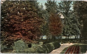 Postcard PARK SCENE Hamilton Ontario ON AI3716