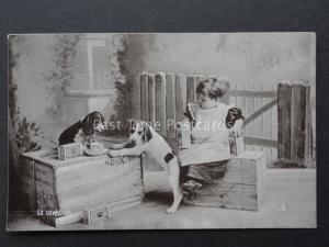 Greetings: Child with Two Dogs on Tea Box c1916 by Raphael Tuck SWEET PETS 6535