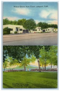 c1940 Walnut Grove Auto Court Clear Lake Lakeport California CA Vintage Postcard