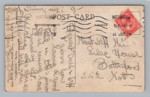 Boy Child Poem Comic Fleas Vintage Postcard 