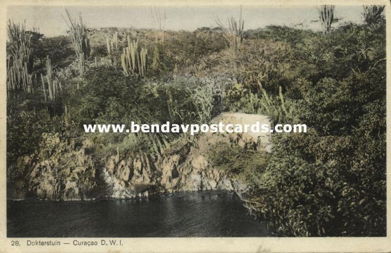 curacao, N.W.I., Dokterstuin (1930s) Sunny Isle L. Reck 28