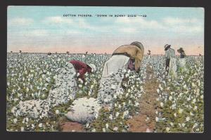 Cotton Pickers Down in Sunny Dixie. E.C. Kropp linen postcard