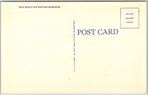 Winchester Virginia VA, Handley High School by Moonlight, Grounds, Postcard