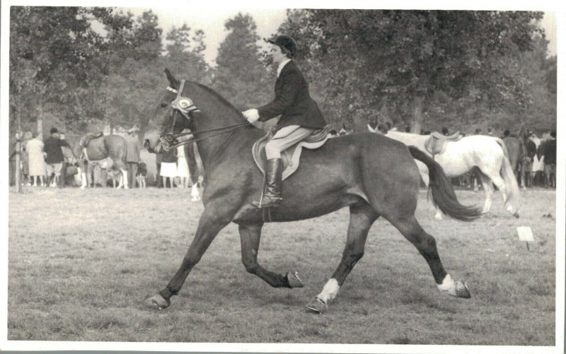 Horse Sports Hippique Real Photo Postcard 03.91