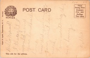 Postcard NY Cooperstown Source Susquehanna River rowboats tinted