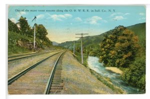 NY - Catskills, Sullivan Co.Trout Stream  (NY) Ontario & Western Railroad