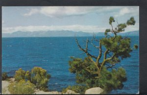 America Postcard -  Lake Tahoe, Deepest Lake in The United States  T6150