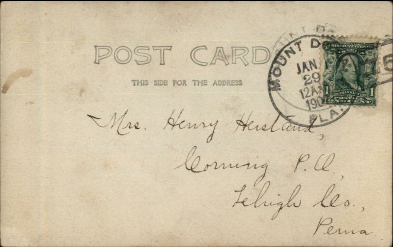 Scenic View - Mount Dora FL Cancel c1908 Real Photo Postcard