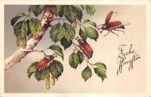 BG20634 beetle  pfingsten pentecost   germany