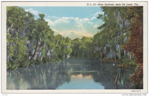 Blue Springs near De Land, Florida, PU-1943