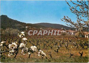 Postcard Modern Provence Picturesque Nans les Pins 440 m alt general view