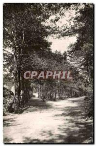 Old Postcard Malesherbes (Loiret) Buthiers path of Auxy