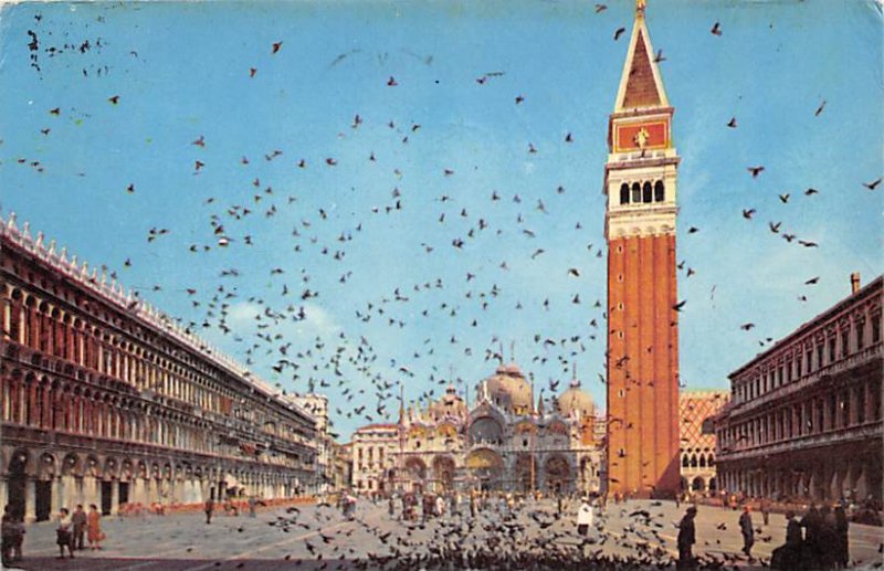 Venezia Pidgeons 1965 