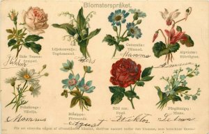 Early Norwegian Chromolithograph Postcard Blomsterspråket Language of 8 Flowers