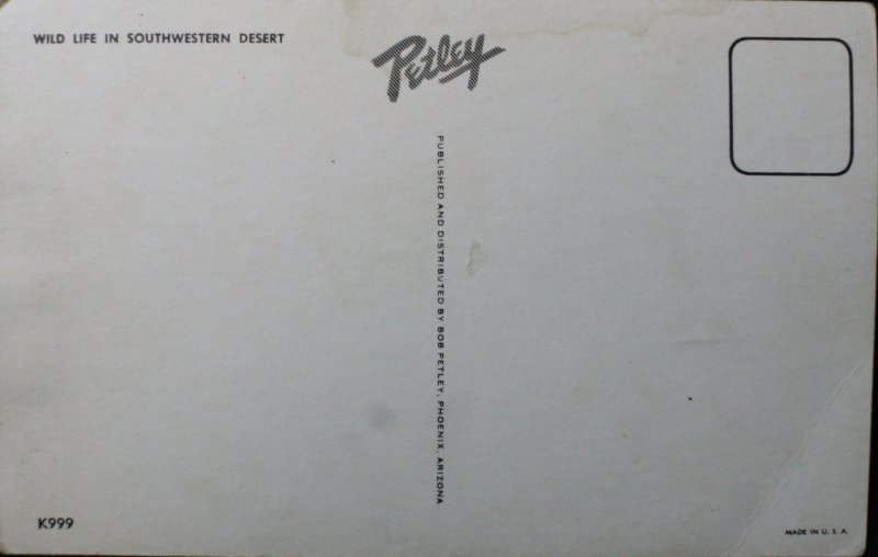 Wildlife of the Desert