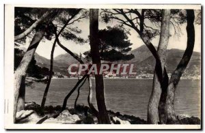 Old Postcard Cap Martin Menton Overview of the pines