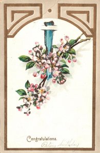 Vintage Postcard Congratulations Beautiful Pink Flowers Wrap In Blue Ribbon