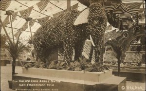 San Francisco CA Elephant Sculpture Apple Show c1910 Real Photo Postcard