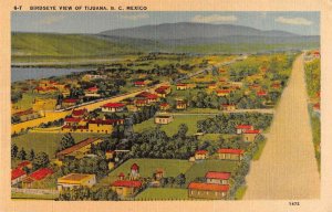 Tijuana Mexico Birds Eye View Linen Vintage Postcard AA34754