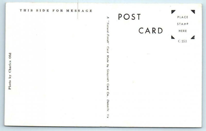 COLUMBIA, SC ~ Wade Hampton Monument & Trinity Episcopal Church c1940s Postcard