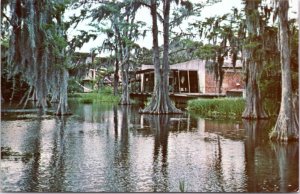 Postcard Cypress Lake - University of Southwestern Louisiana Lafayette