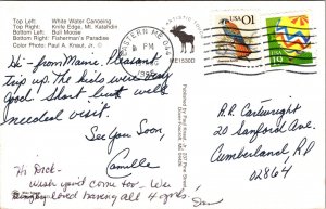 Maine Multi View Scenic Natural Landmarks Bull Moose Chrome Cancel WOB Postcard 