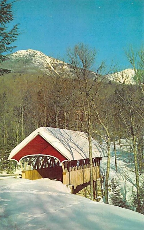 Flume Bridge and Mt. Liberty Franconia Notch, New Hampshire USA Unused 