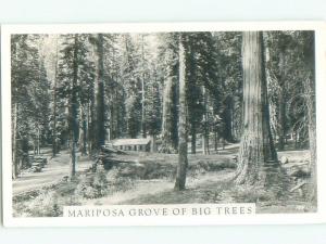 old rppc NICE VIEW Mariposa Grove Yosemite Park - Wawona & Stockton CA i8732