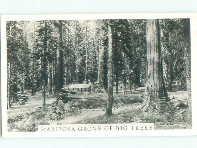 old rppc NICE VIEW Mariposa Grove Yosemite Park - Wawona & Stockton CA i8732