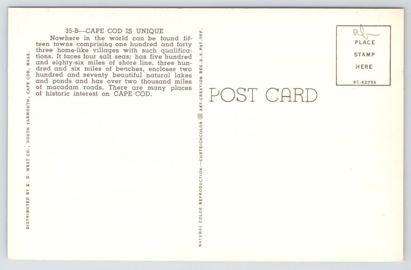 Cape Cod Massachusetts~Map & Cities~Buzzards Bay~Cranberries~1950s Postcard